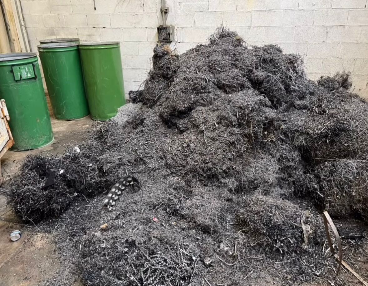 Imagen de trabajo servicios de recoleccion de reciclaje 5